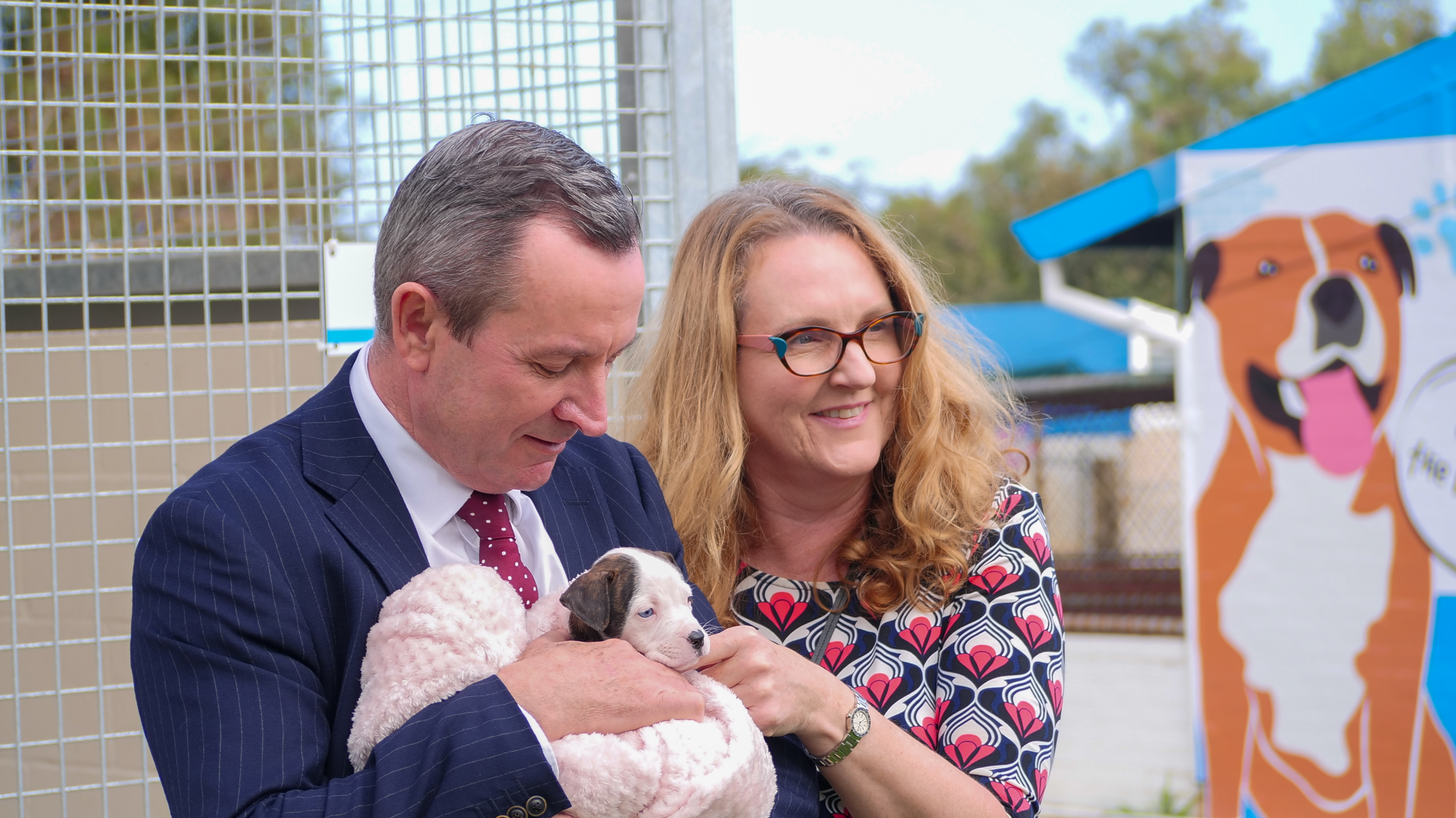 Major Funding Boost to WA Animal Shelters Main Image