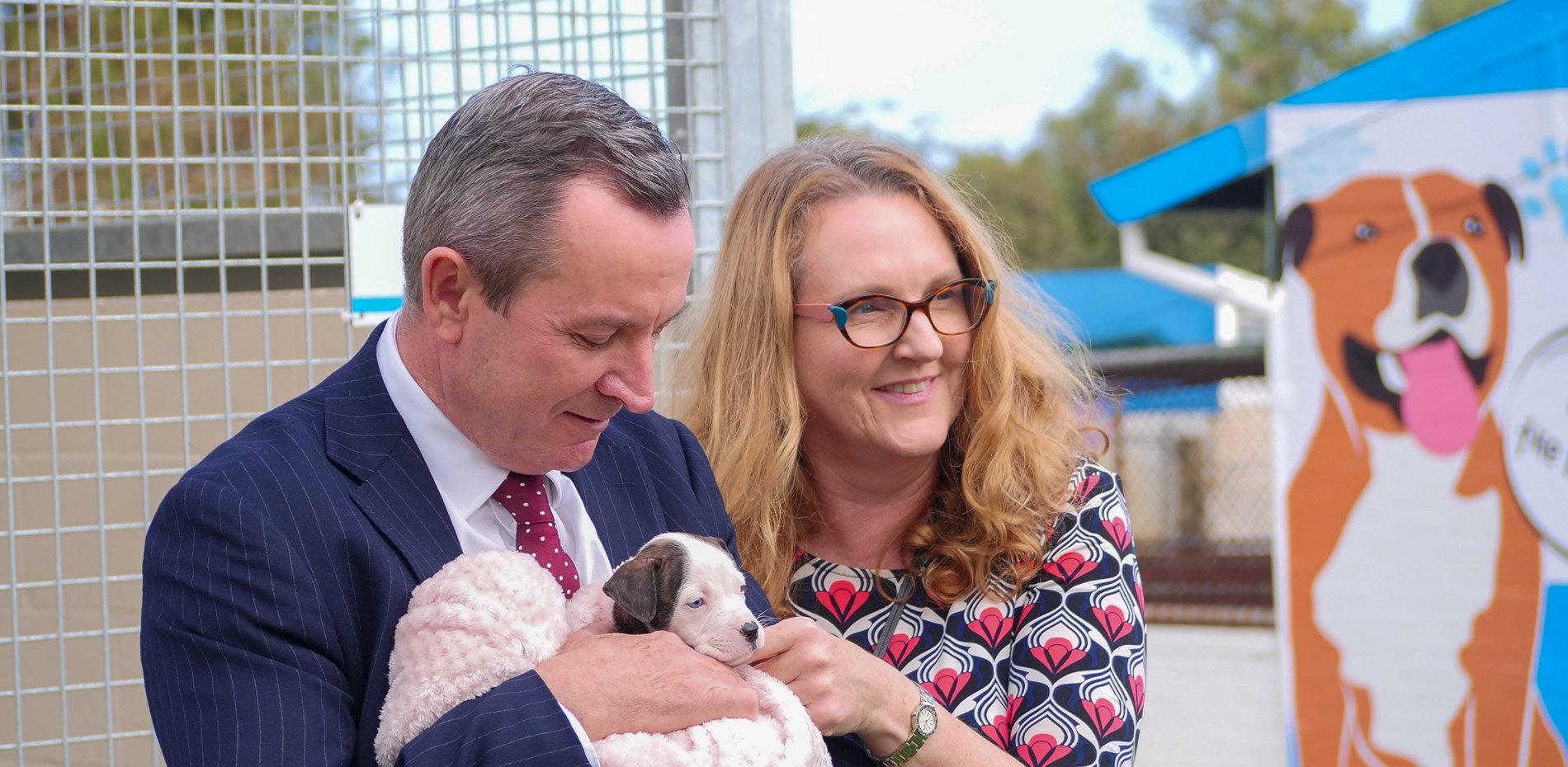 Major Funding Boost to WA Animal Shelters Main Image