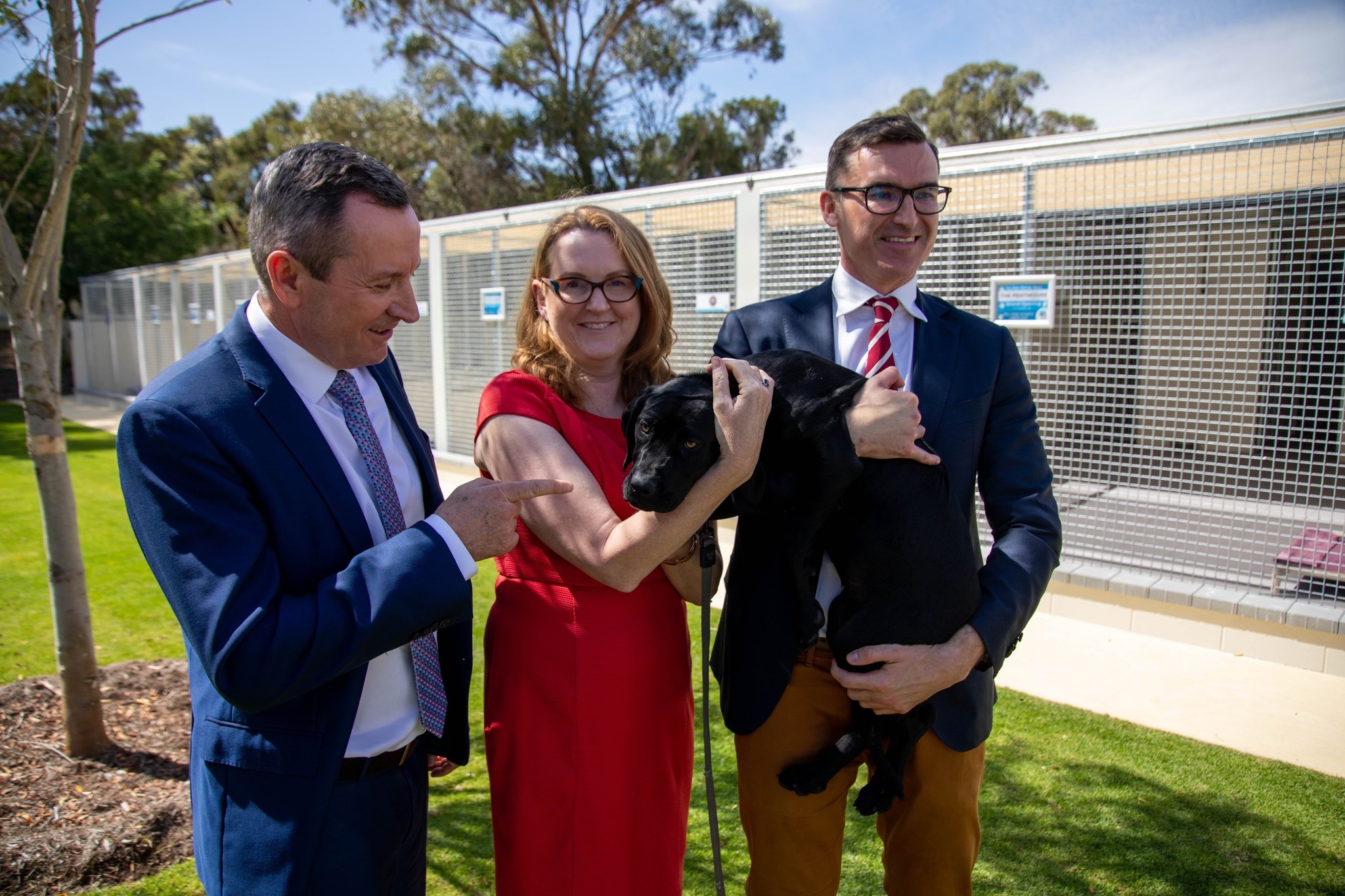 Funding Boost for Pet Rescue Organisations Main Image